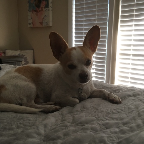 Meet your Posher, Donna - Picture 3 of 3